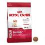 hundemad, schnauzere, kennel Basta Dog, schnauzerhvalpe, Royal Canin