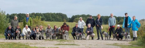 schnauzere, kennel basta dog, , kenneltræf, schnauzeropdræt, aktiviteteter med schnauzere, schnauzer hvalpe, købe schnauzer